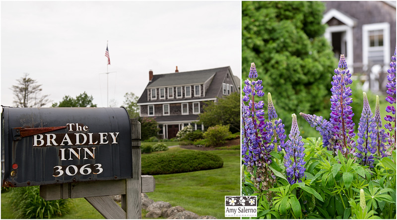 coastal-maine-wedding-01