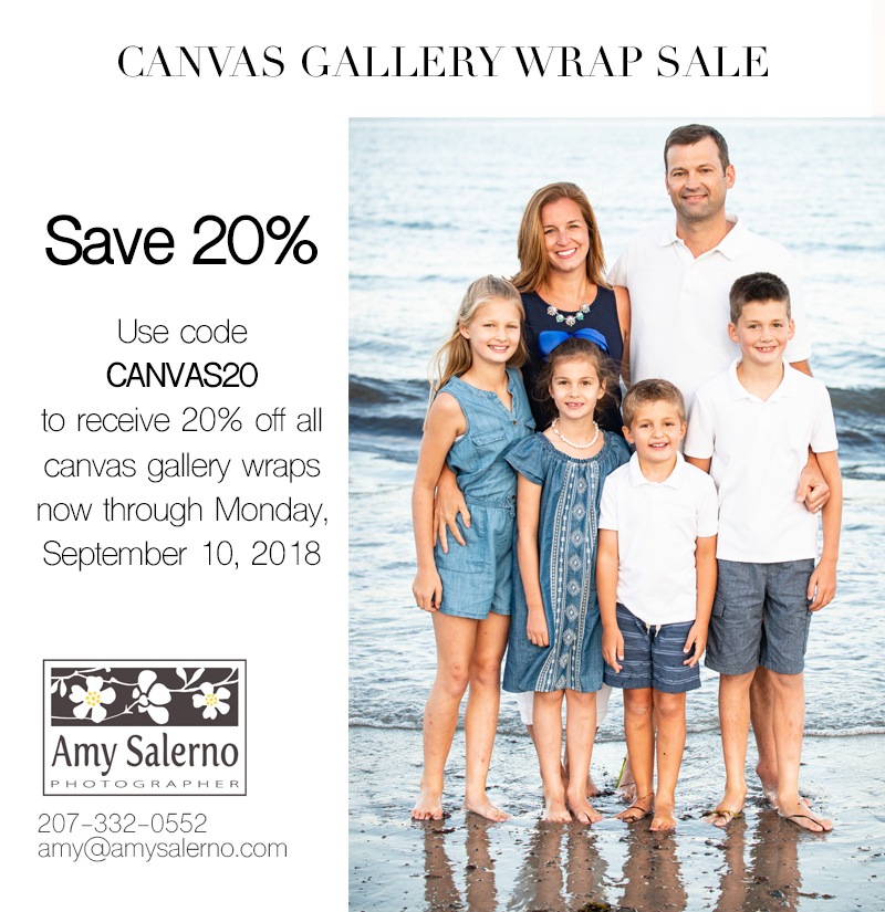 CanvasSale2018