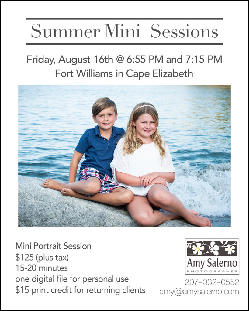 2019 summer Mini session promo